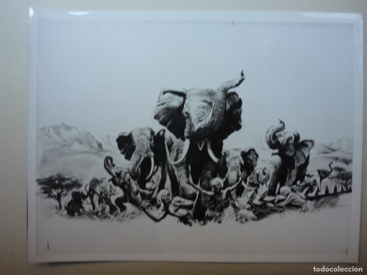 Cine: la senda de los elefantes - foto original b/n - Elephant Walk william dieterle