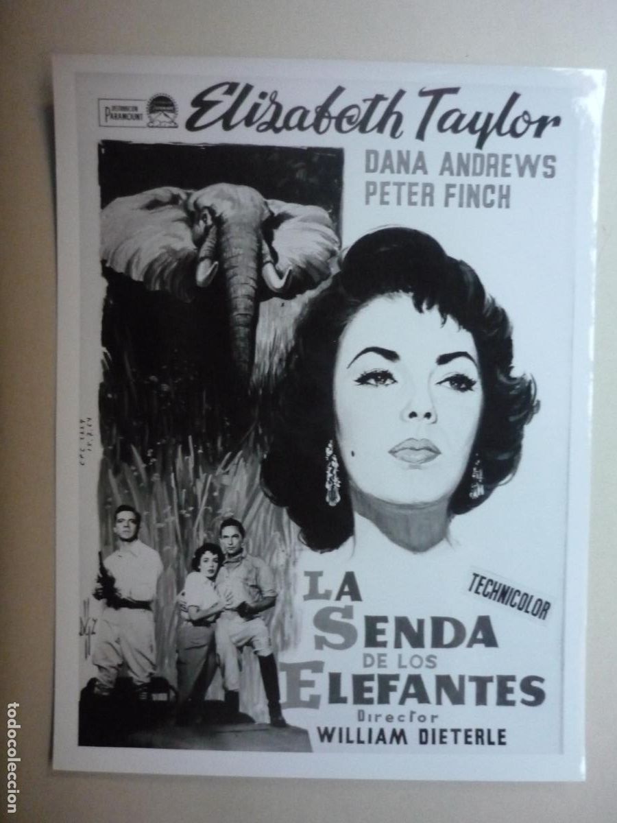 Cine: la senda de los elefantes - foto original b/n - elizabeth taylor - Elephant Walk william dieterle