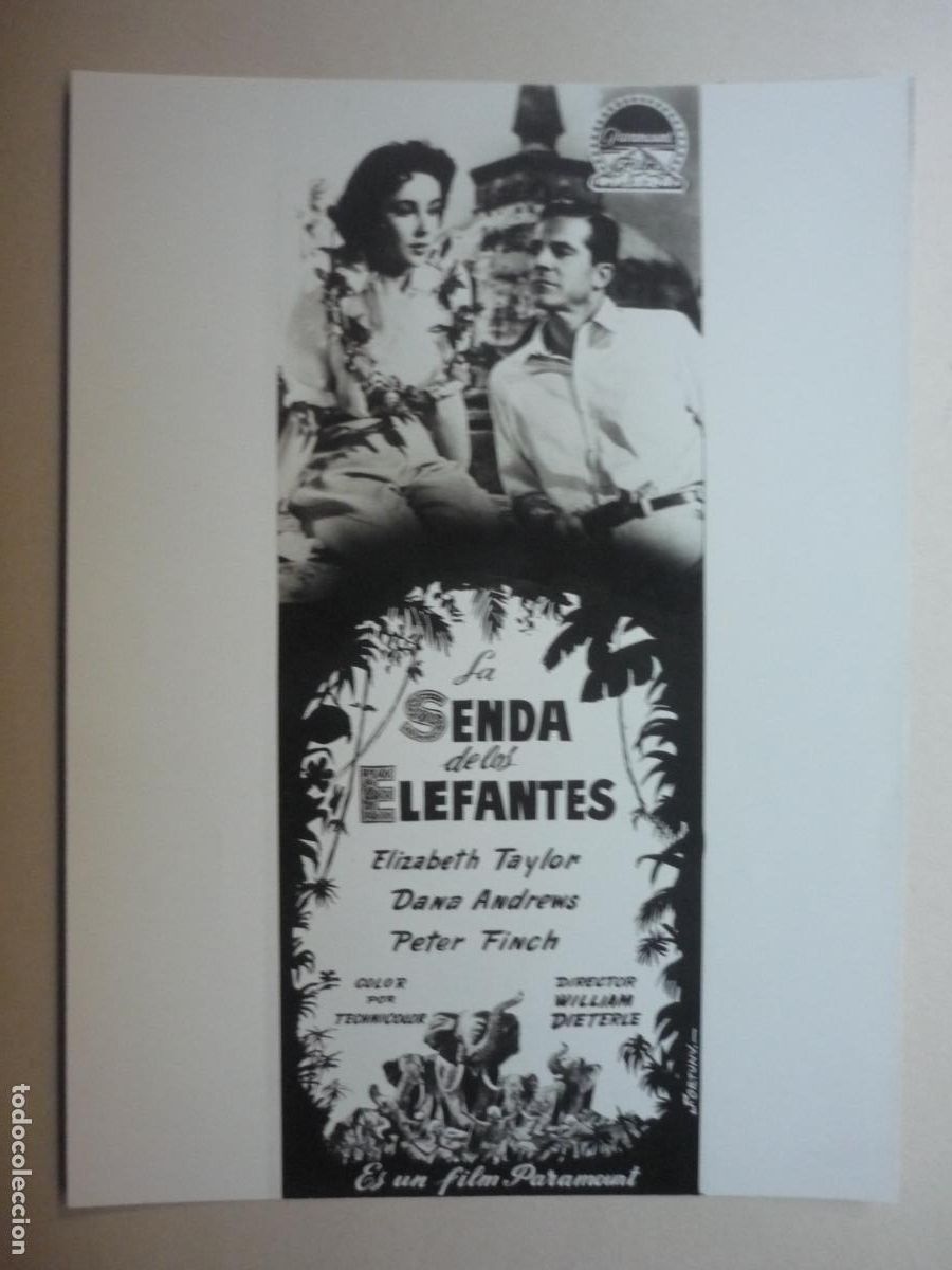 Cine: la senda de los elefantes - foto original b/n - elizabeth taylor - Elephant Walk william dieterle