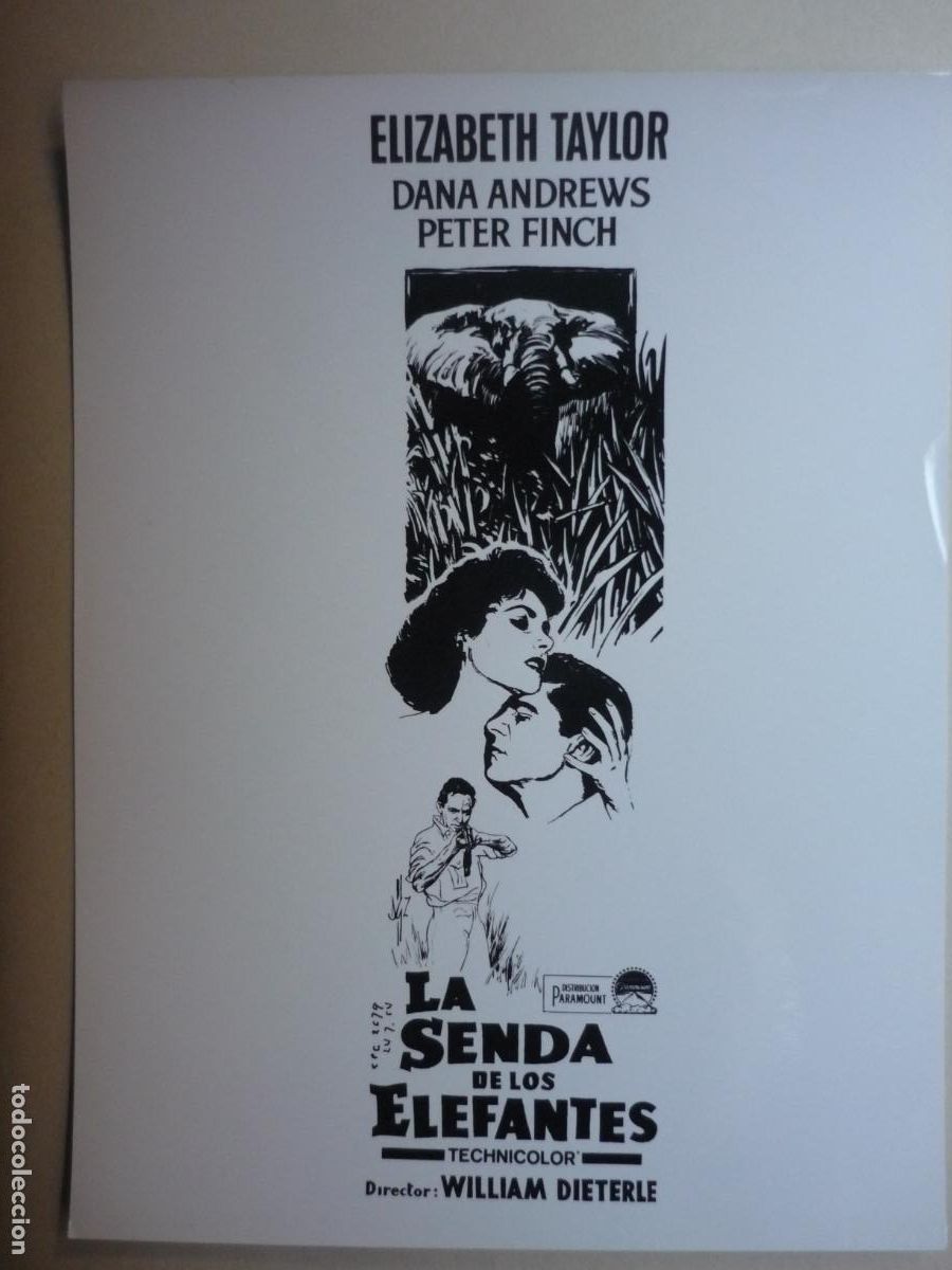 Cine: la senda de los elefantes - foto original b/n - elizabeth taylor - Elephant Walk william dieterle