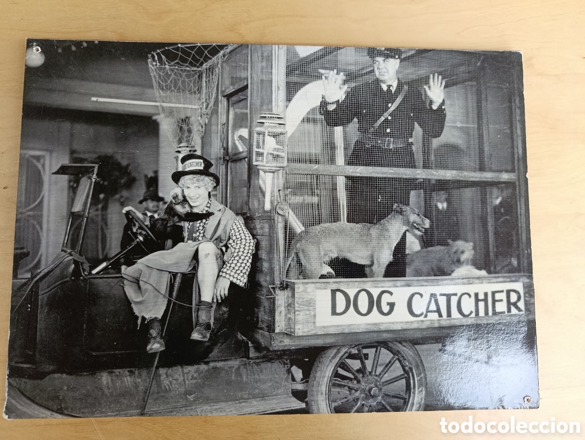 Cine: Fotografias peliculas hermanos Marx