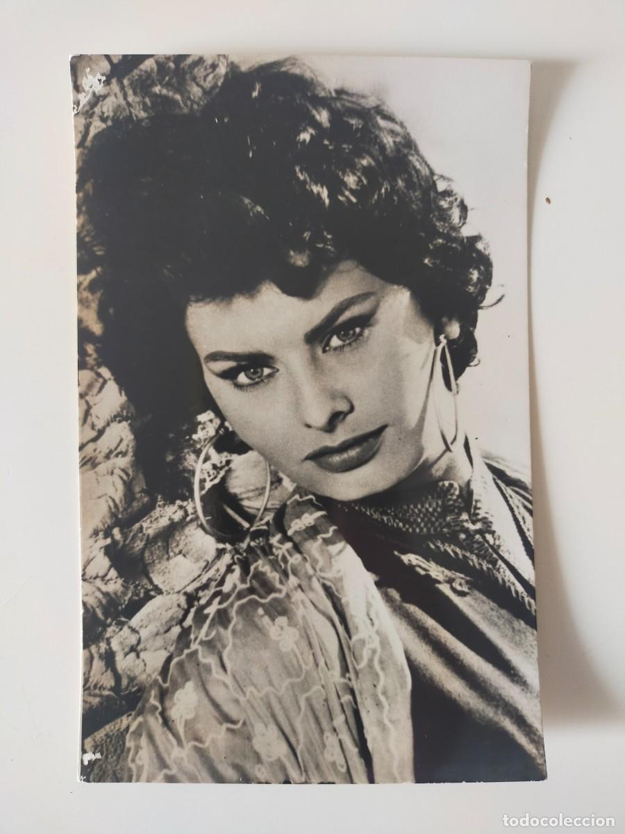 Cine: Foto / Postal: 3102 SOFIA LOREN