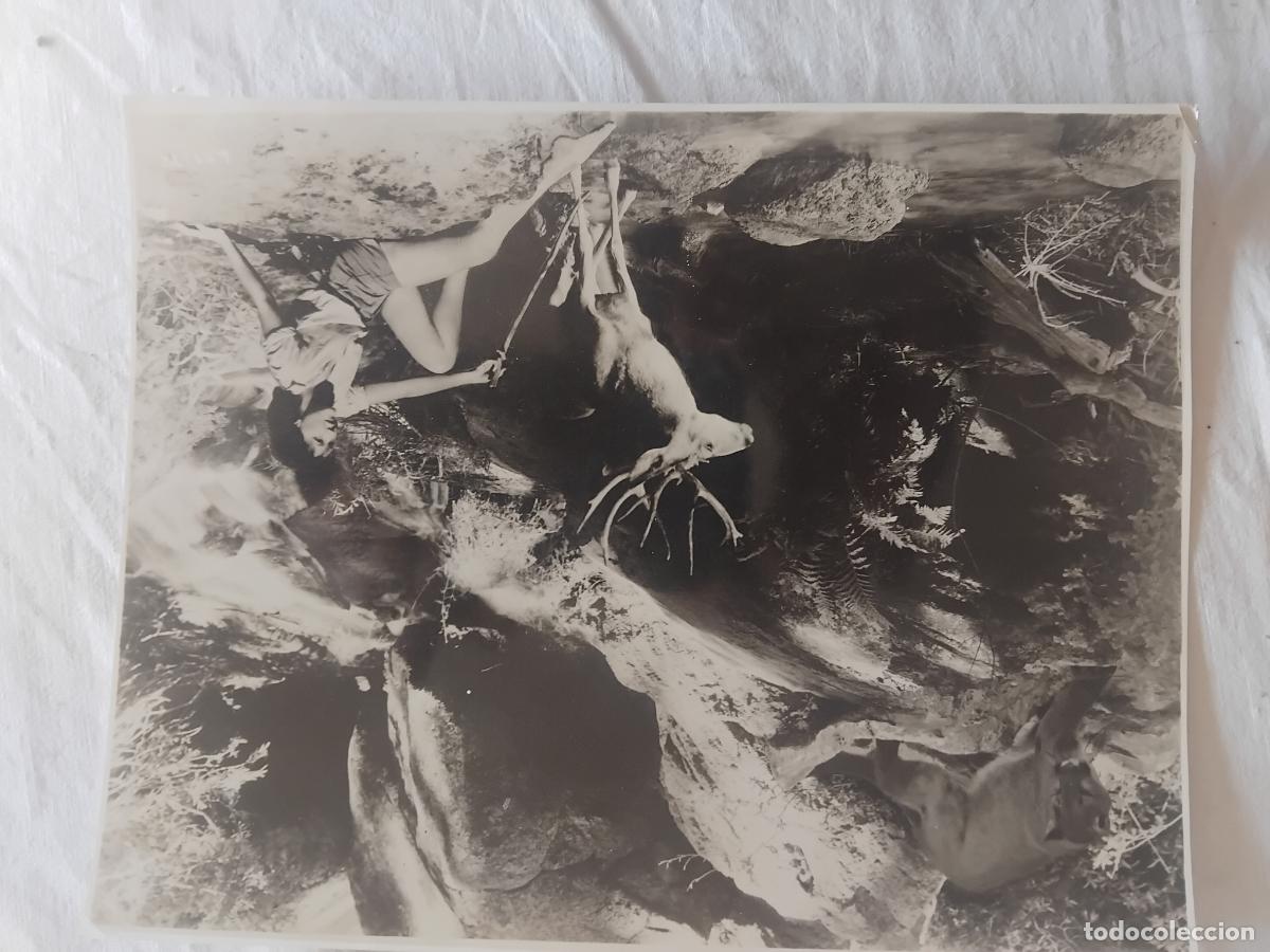 Cine: FOTOGRAFIA DE JEAN PARKER EN LA PELICULA SEQUOIA. 23,50 x 18,50 cm.