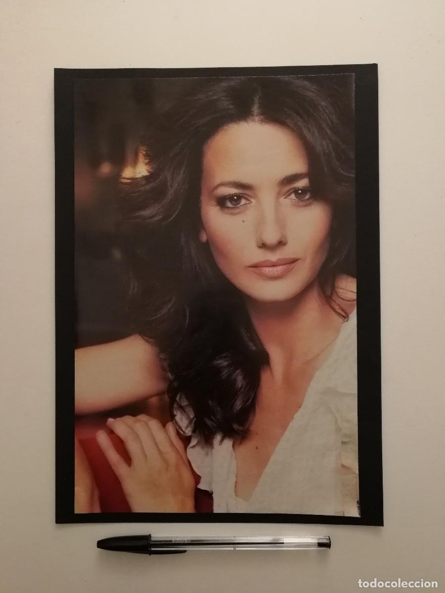 Cine: LAMINA ACARTONADA - JOSE TOLEDO