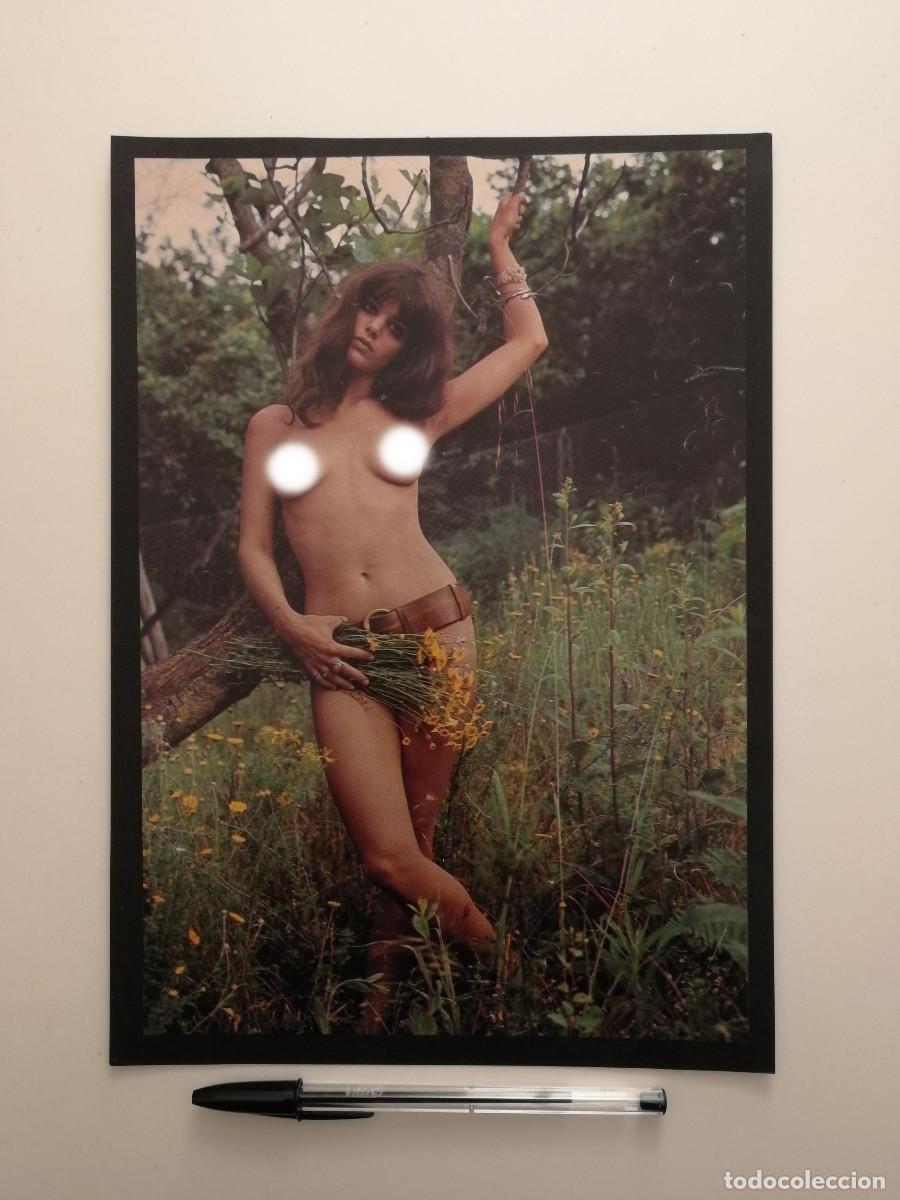 Cine: ANTIGUA LAMINA ENCARTONADA -A4- Tina Aumont - 70s