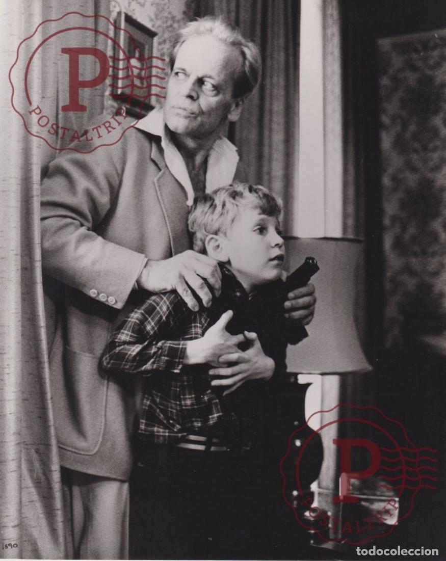 Cinema: Venom Kalus Kinski, Lance Holcomb. CINE FILMS. ACTOR. ACTRESS +- 25X20CM