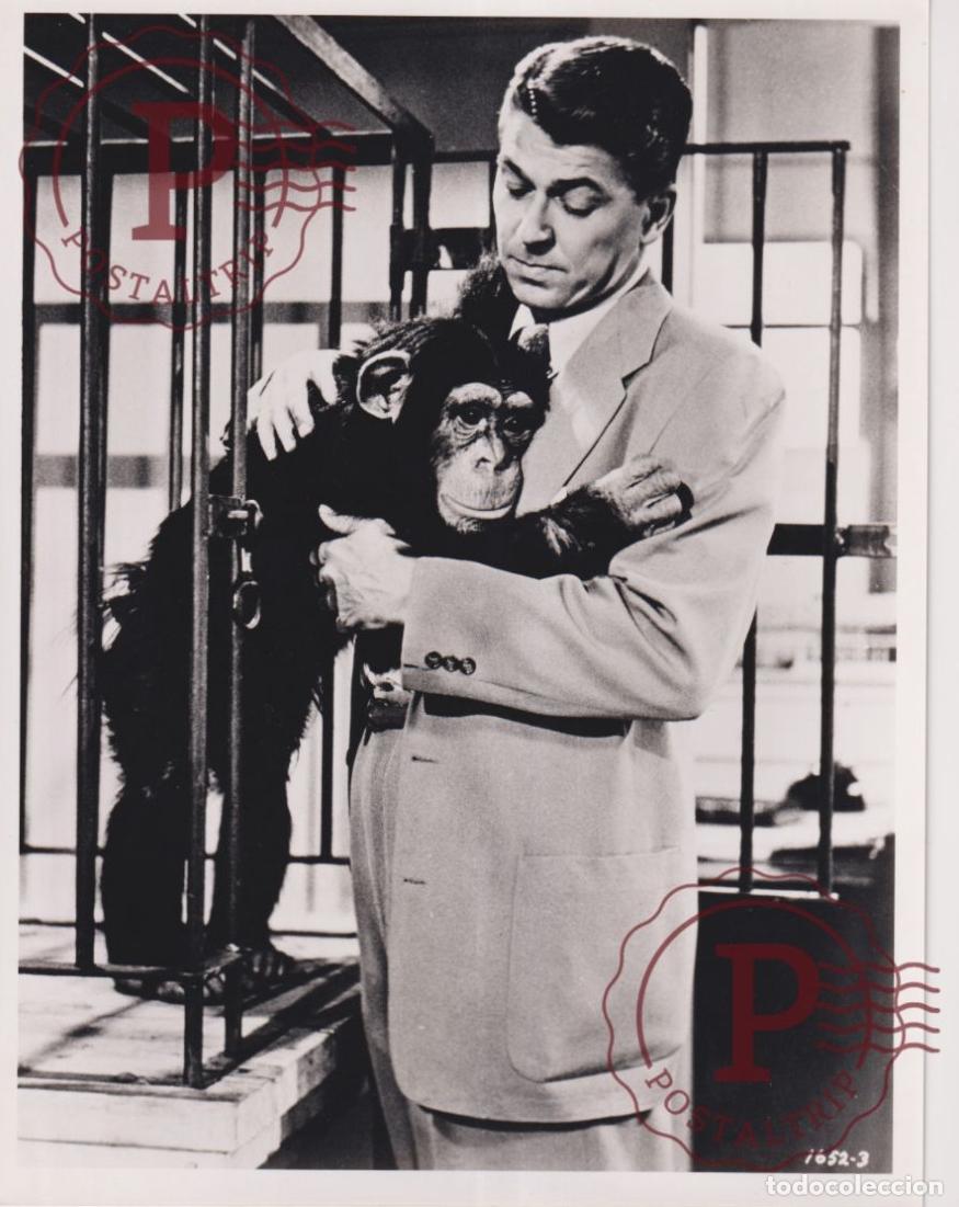 Cinema: Bedtime For Bonzo. CINE FILMS. ACTOR. ACTRESS +- 25X20CM