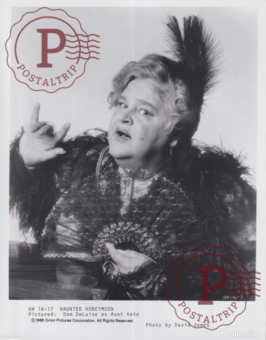 Cinema: Haunted Honeymoon CINE FILMS. ACTOR. ACTRESS +- 25X20CM