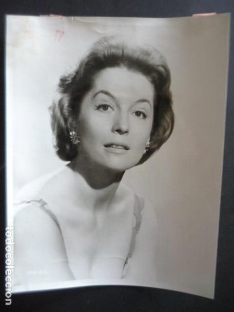 Cin&eacute;ma: BARBARA SHELLEY ACTRIZ ANTIGUA FOTOGRAFIA 20 X 26 CM
