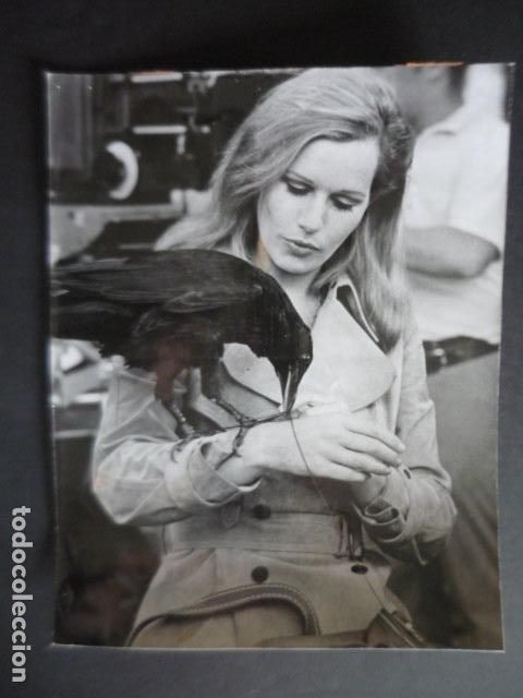 Kino: SALLY KELLERMAN ACTRIZ ANTIGUA FOTOGRAFIA ORIGINAL 17,5 X 22 CM