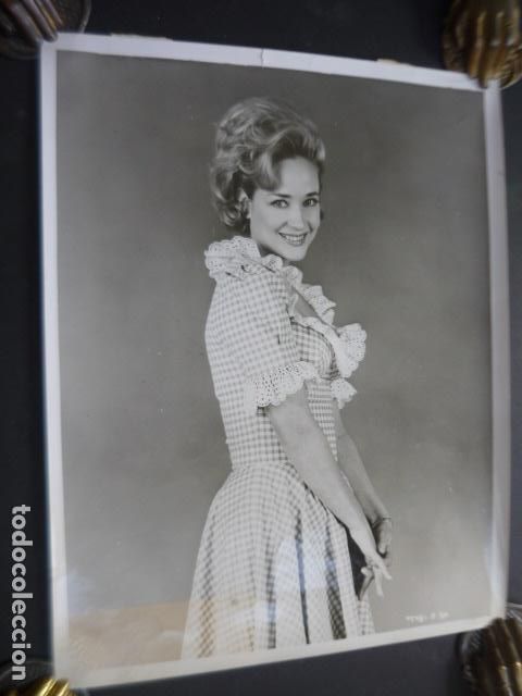 Cine: SYLVIA SYMS ACTRIZ ANTIGUA FOTOGRAFIA ORIGINAL 20 X 26 CM