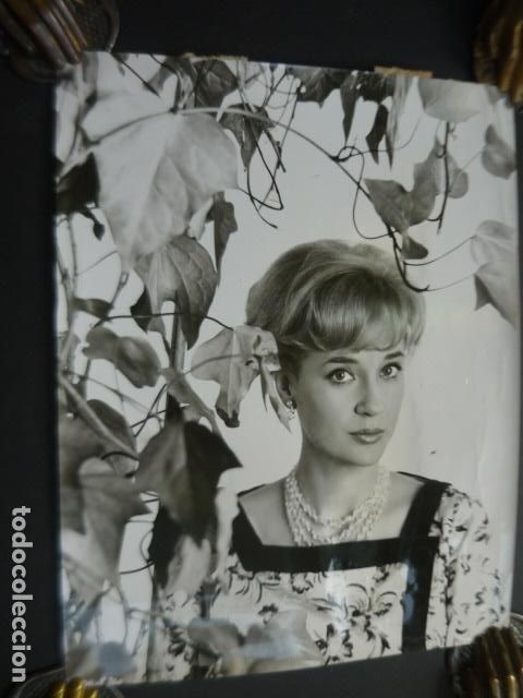 Cine: SYLVIA SYMS ACTRIZ ANTIGUA FOTOGRAFIA ORIGINAL 24 X 18 CM