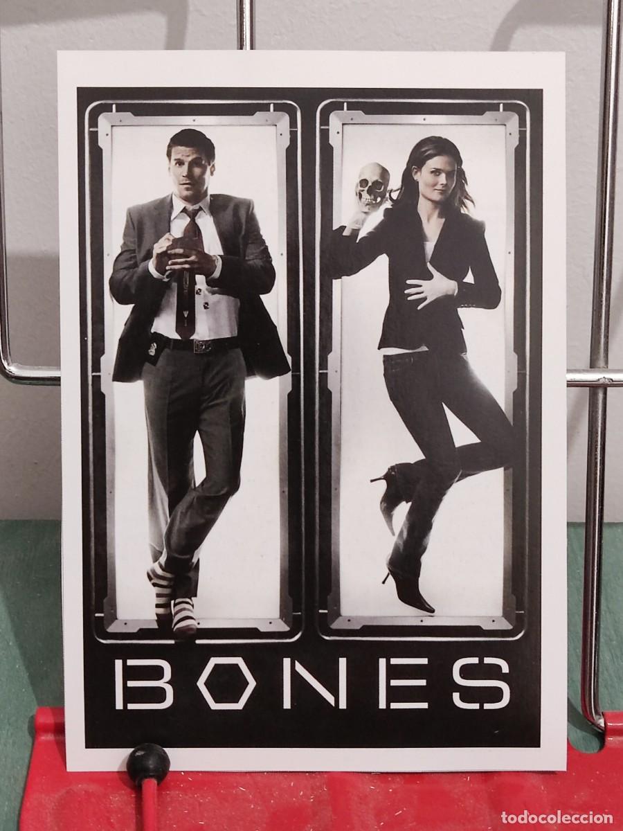 Cine: Bones Temporada 2 . Ficha revista Accion cine