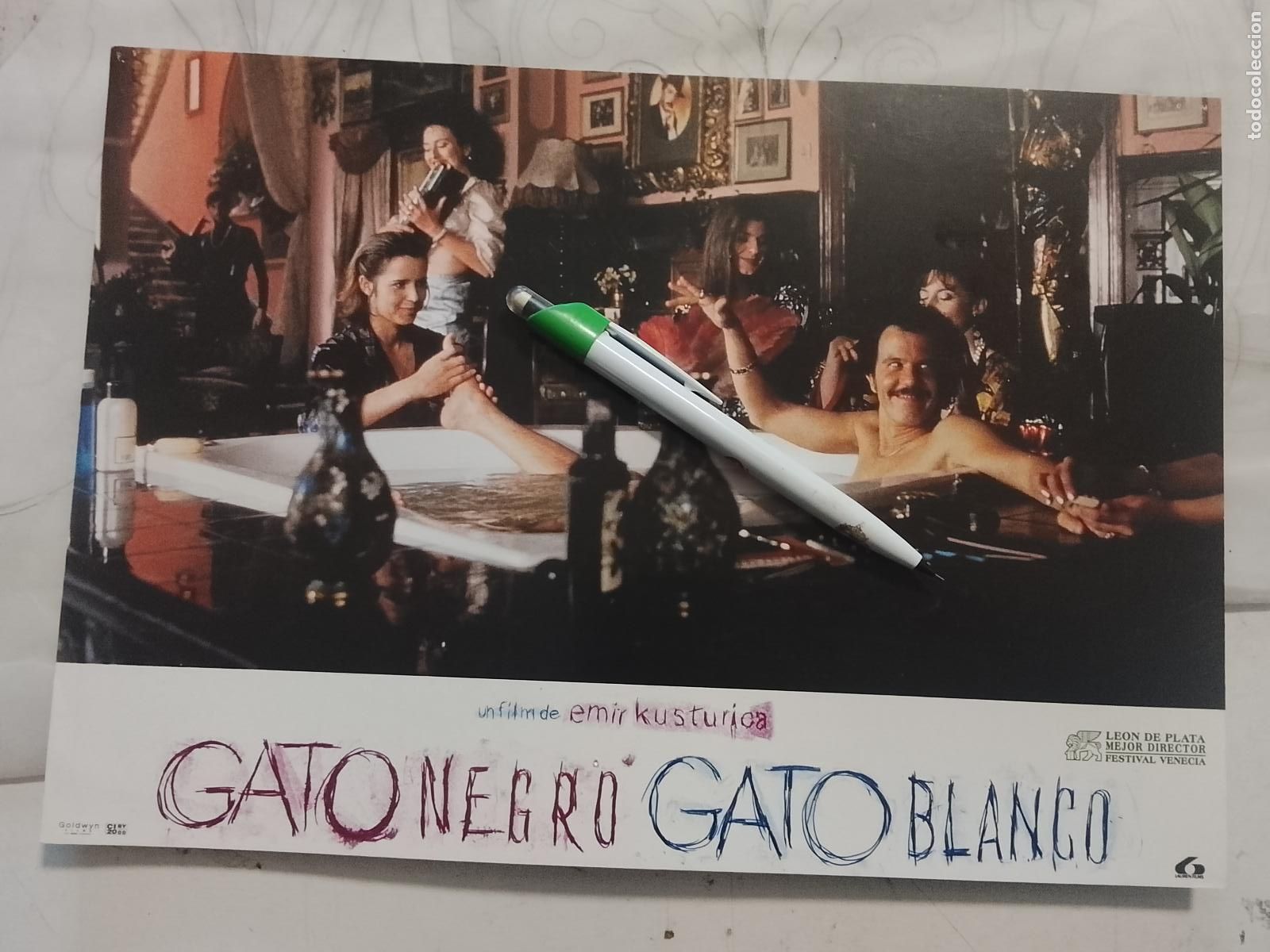 Cine: CINE TEATRO PELICULA CARTEL MEDIANO AFICHE ORIGINAL FOTOCROMO ACTRIZ GATON NEGRO GATO BLANCO