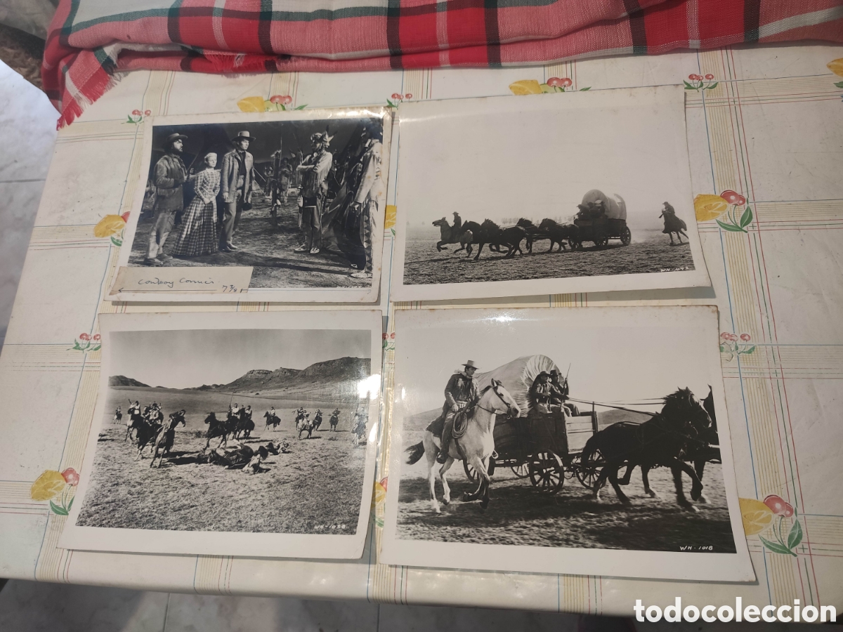 Cine: 4 Fotos - Westward Ho the Wagons! -Sobre la pista del Oregon 1956 -Original de distribuidora-Western
