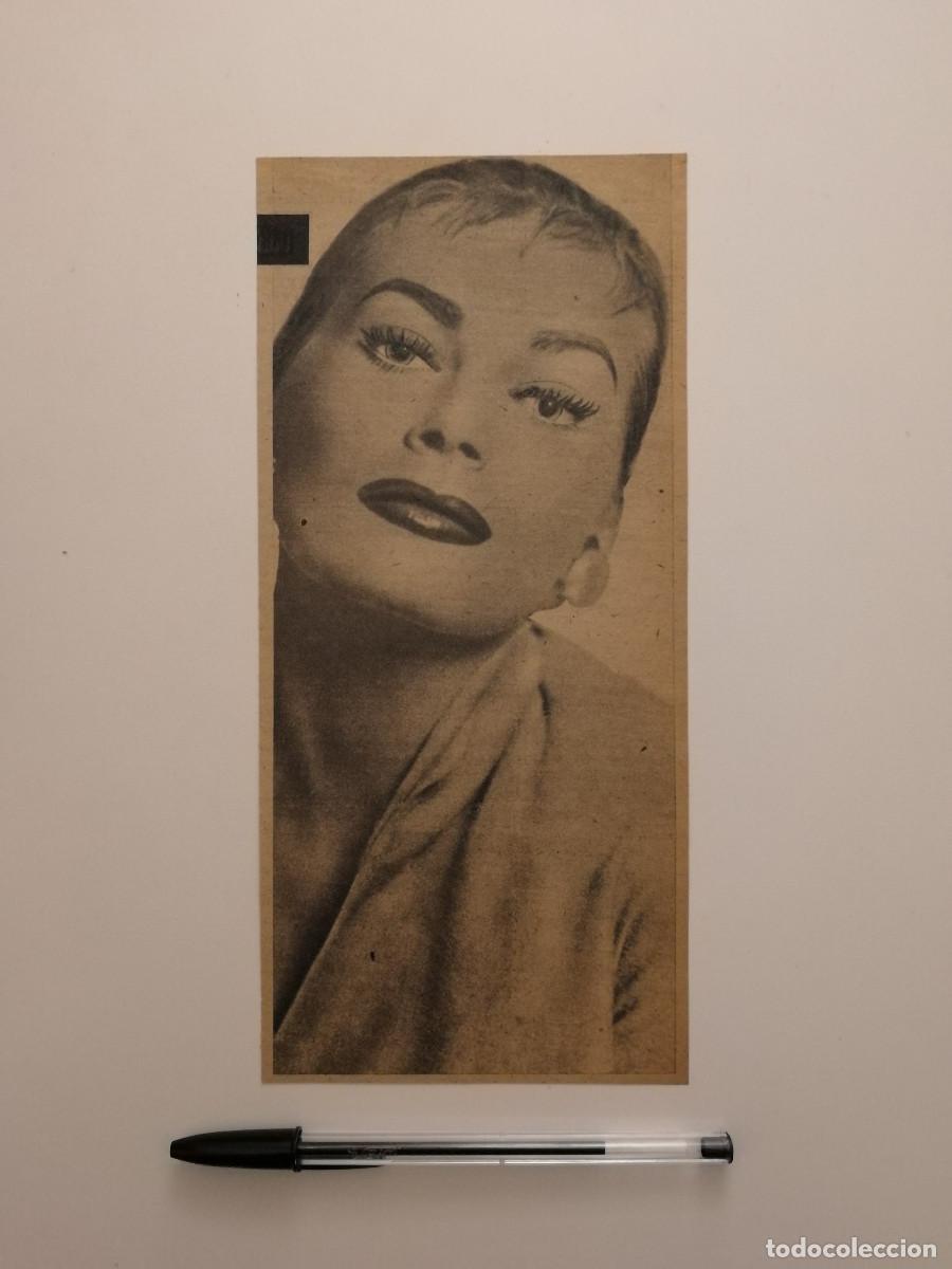 Cine: ANTIGUA LAMINA ACARTONADA - Anita Ekberg