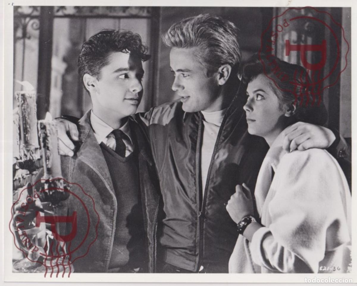 Cinema: Rebel Without A Cause James Dean, Natalie Wood, S. Mineo CINE FILMS. ACTOR. ACTRESS +- 25X20CM