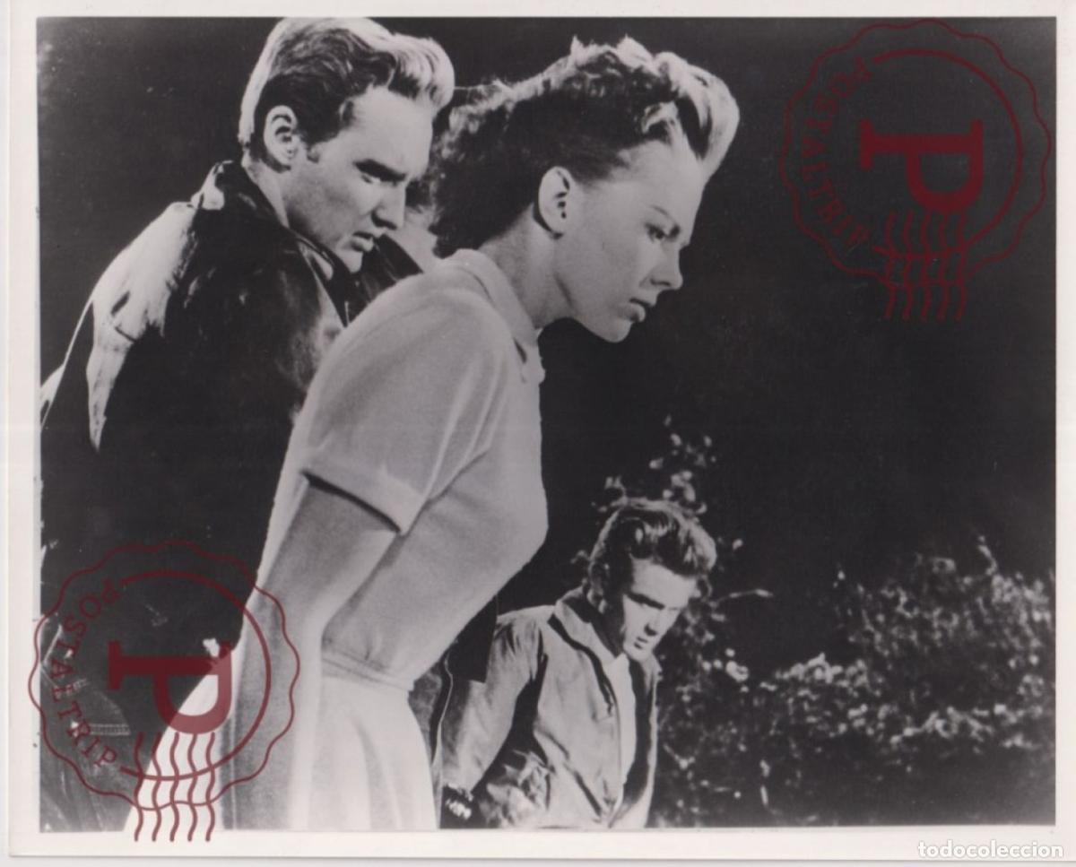 Cinema: Rebel Without A Cause James Dean, Natalie Wood, Dennis Hopper. CINE FILMS. ACTOR. ACTRESS +- 25X20