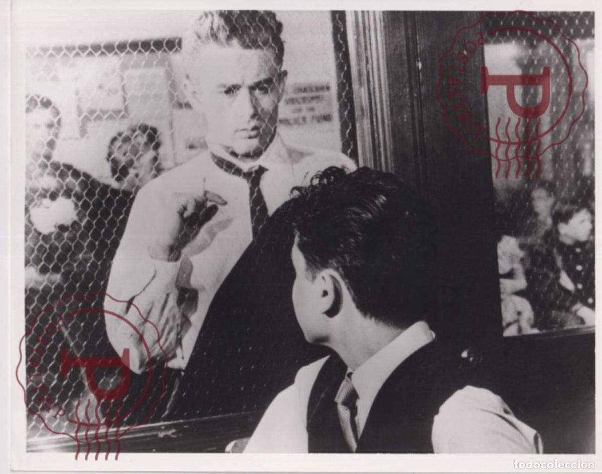 Cinema: Rebel Without A Cause James Dean, Natalie Wood, Dennis Hopper. CINE FILMS. ACTOR. ACTRESS +- 25X20