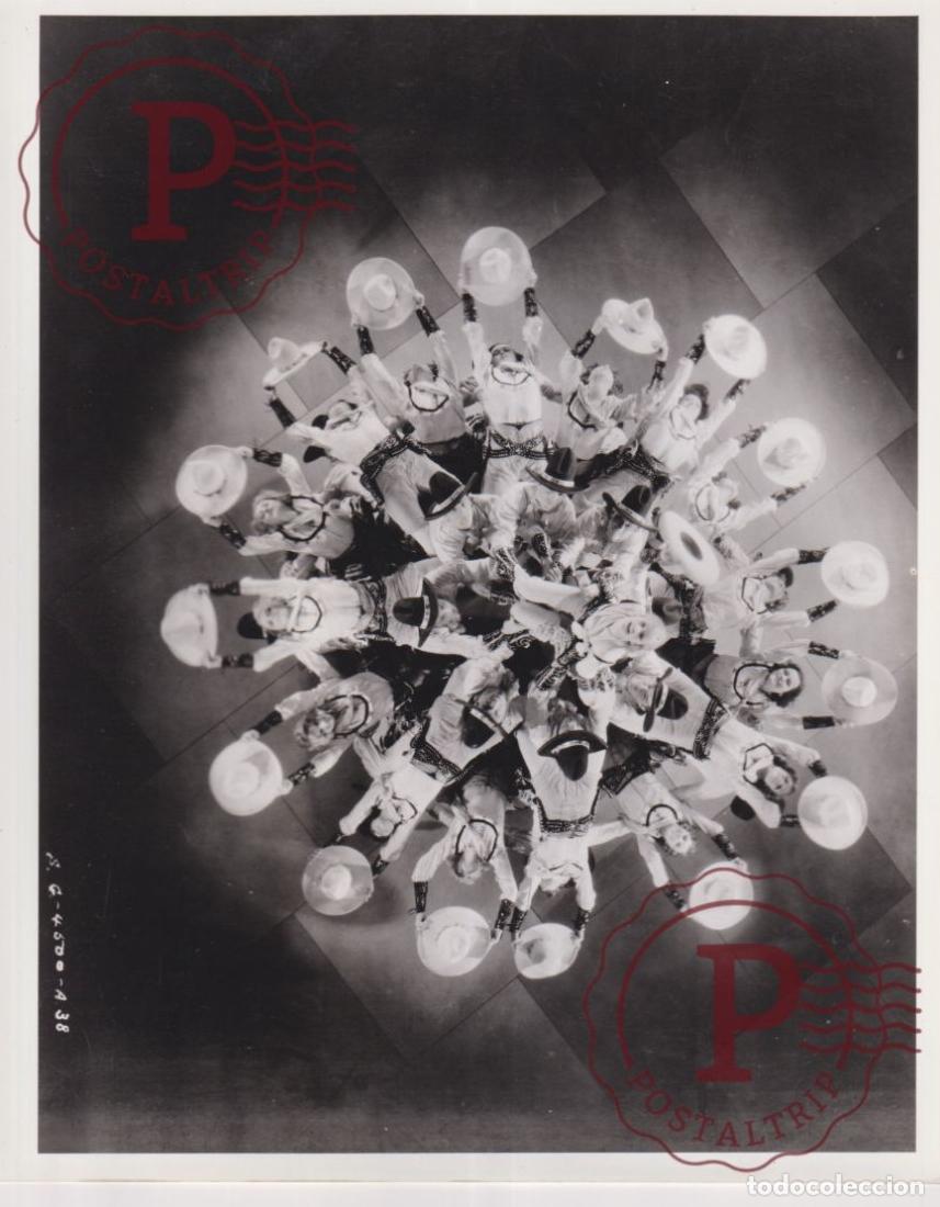 Cinema: Whoopee CINE FILMS. ACTOR. ACTRESS +- 25X20CM