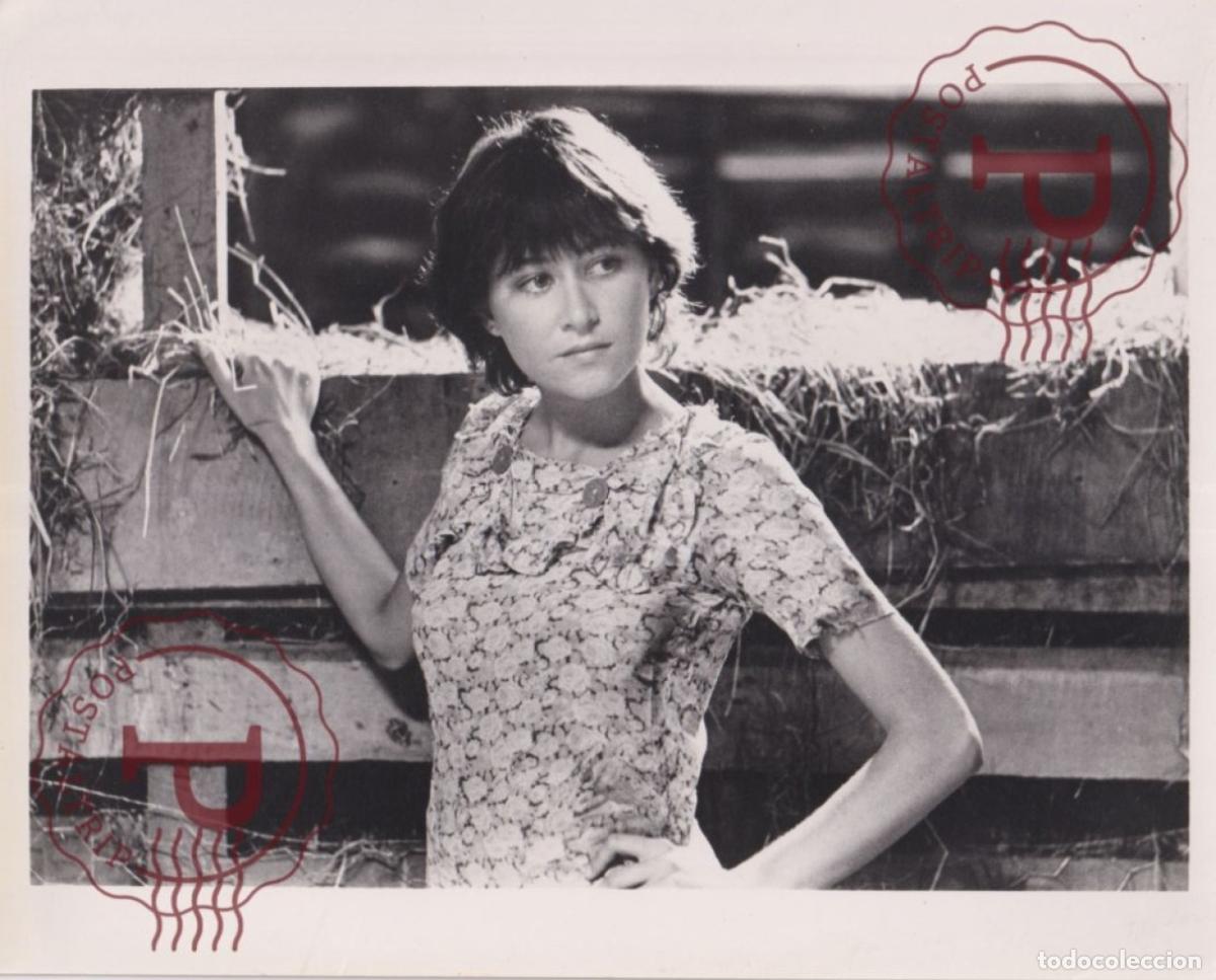 Cine: CINE FILMS. ACTOR. ACTRESS +- 25X20CM Image Unknown