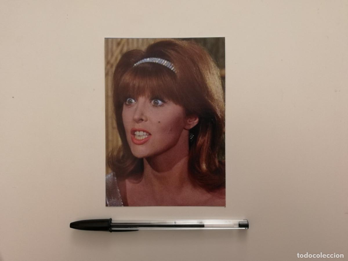 Cine: FICHA COLECCIONABLE -10*15- Tina Louise