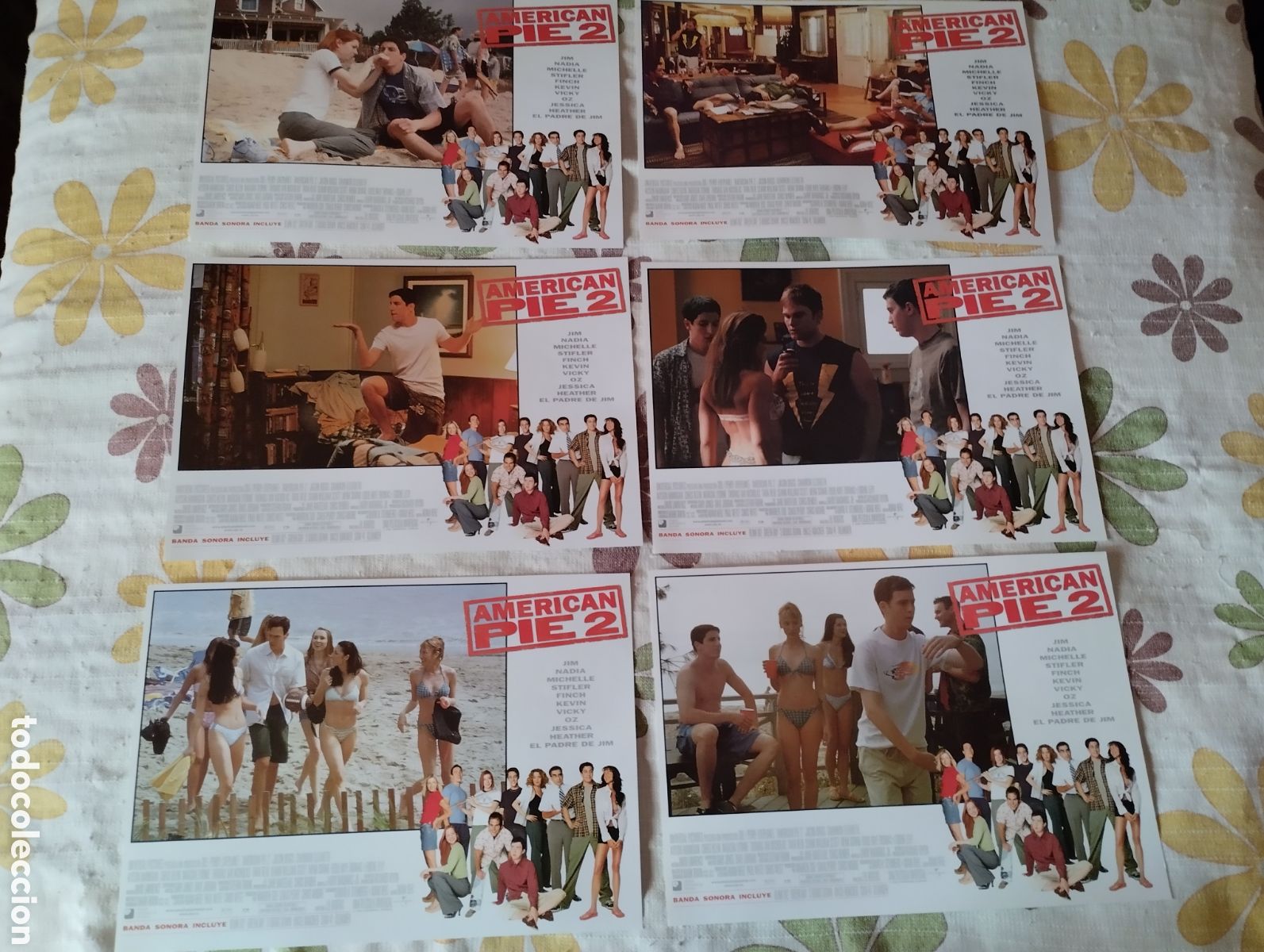 Cine: 12 FOTOCROMOS - AMERICAN PIE 2 - SET COMPLETO