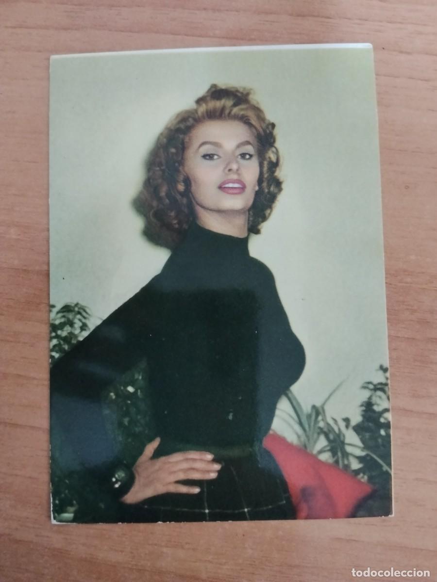 Cine: POSTAL DE ARTISTA-- SOPHIA LOREN