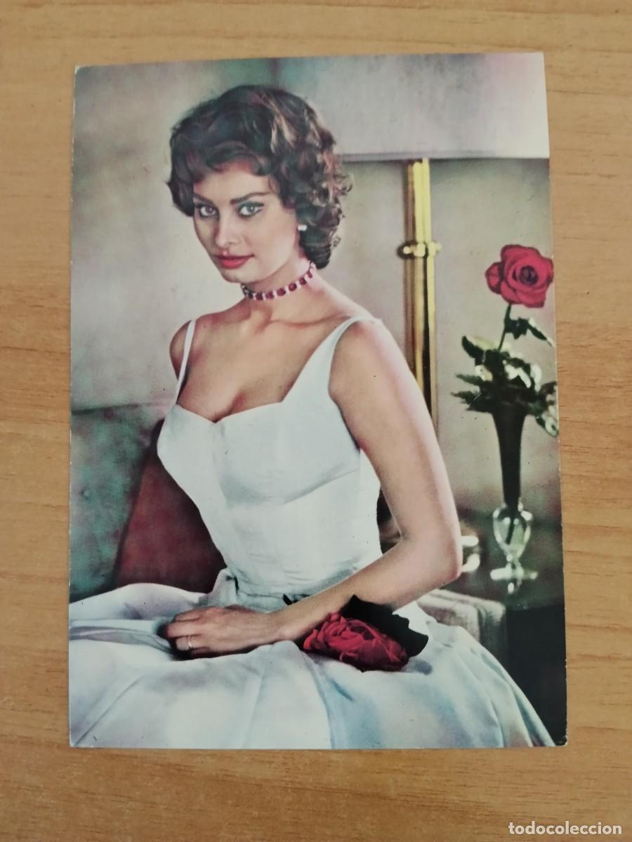 Cine: POSTAL DE ARTISTA-- SOPHIA LOREN