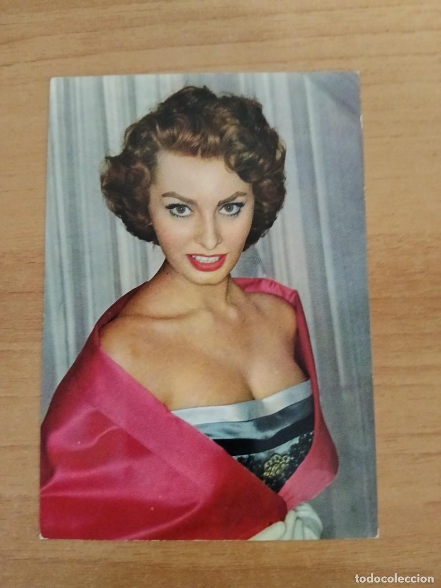 Cine: POSTAL DE ARTISTA-- SOPHIA LOREN