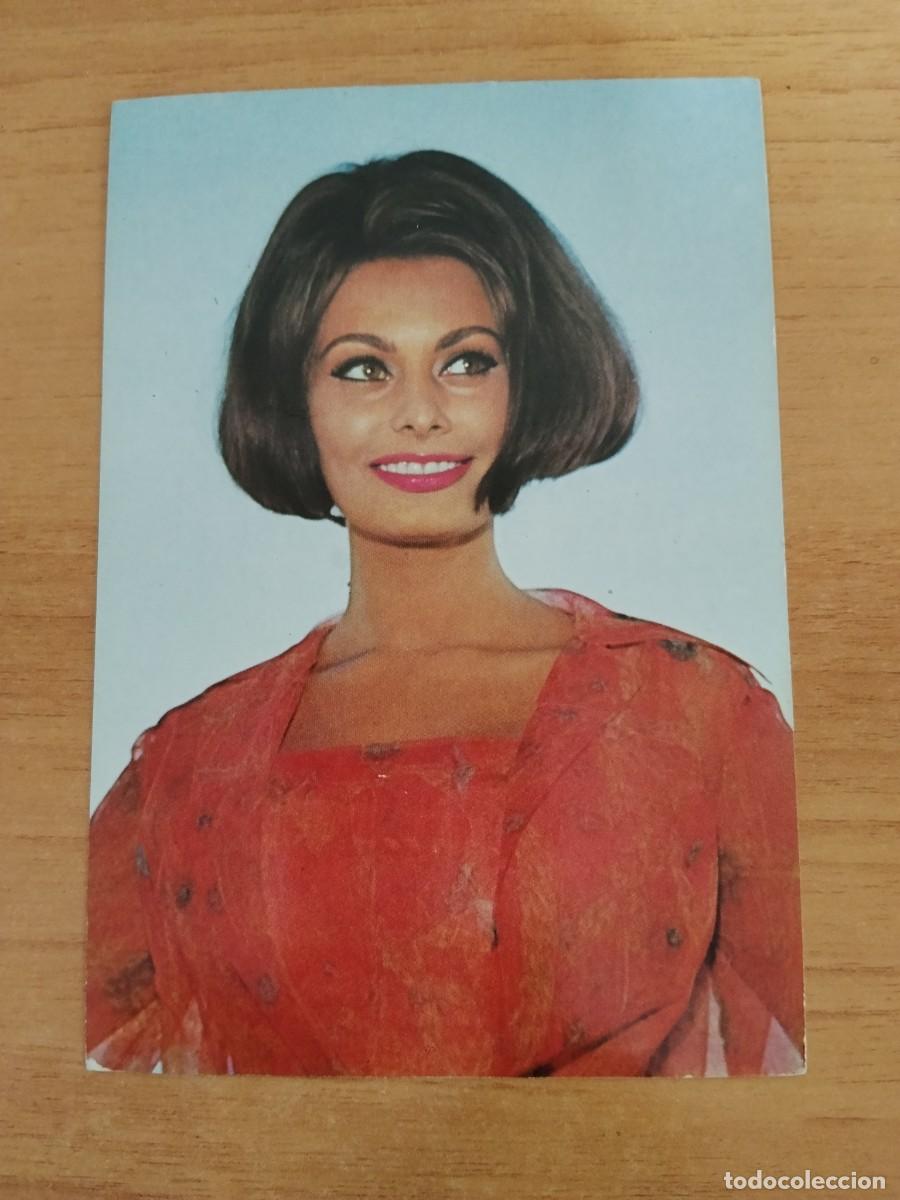 Cine: POSTAL DE ARTISTA-- SOPHIA LOREN