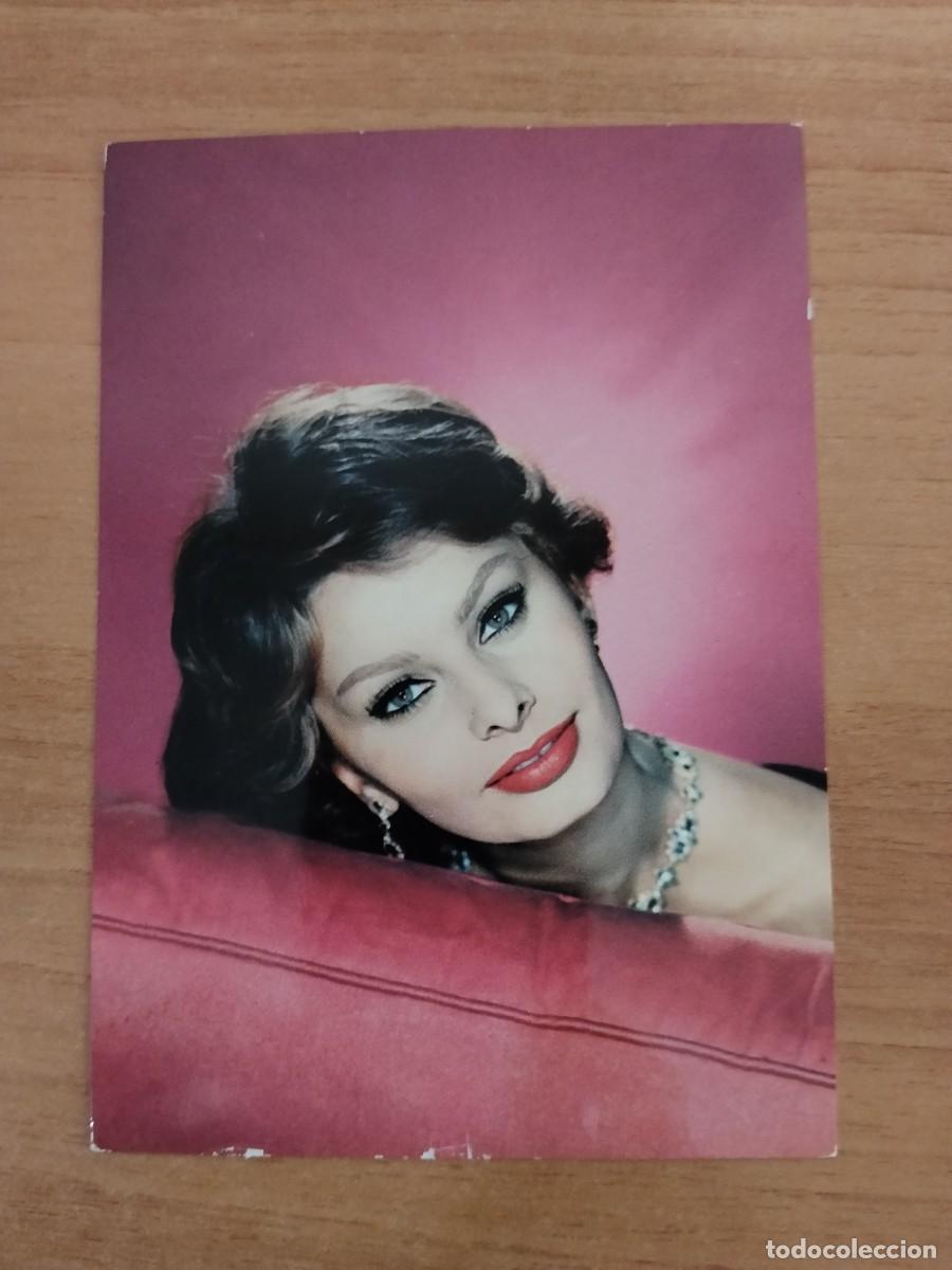 Cine: POSTAL DE ARTISTA-- SOPHIA LOREN