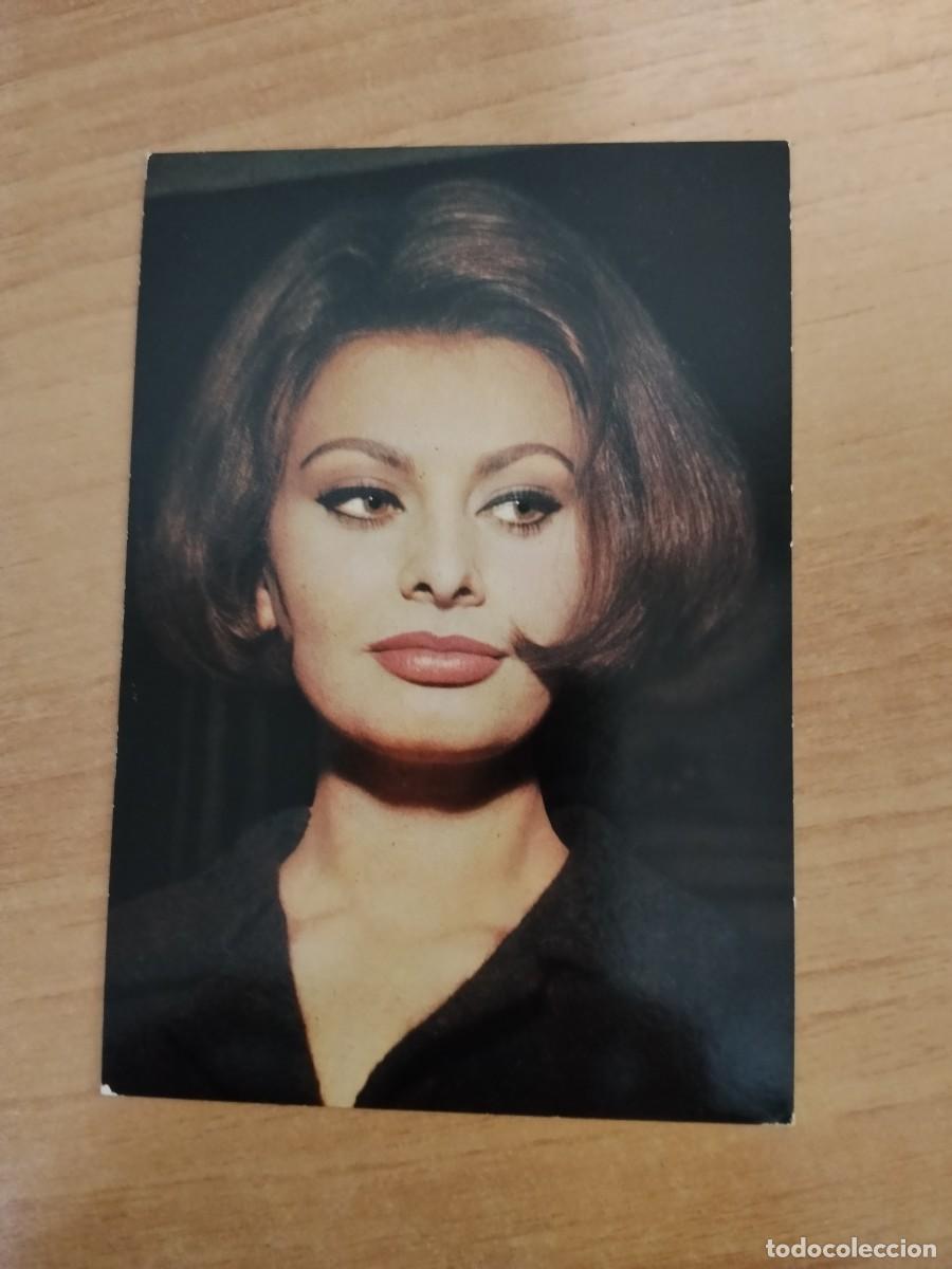 Cine: POSTAL DE ARTISTA-- SOPHIA LOREN