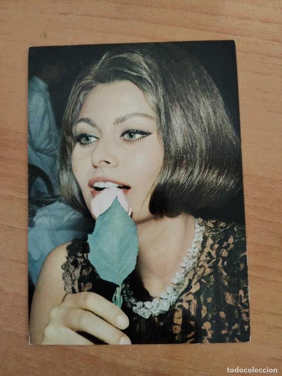 Cine: POSTAL DE ARTISTA-- SOPHIA LOREN