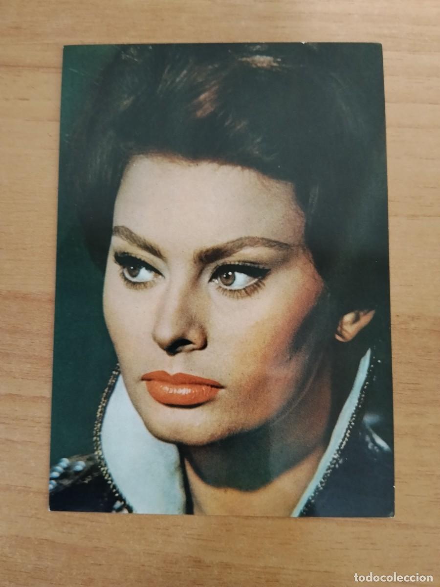 Cine: POSTAL DE ARTISTA-- SOPHIA LOREN