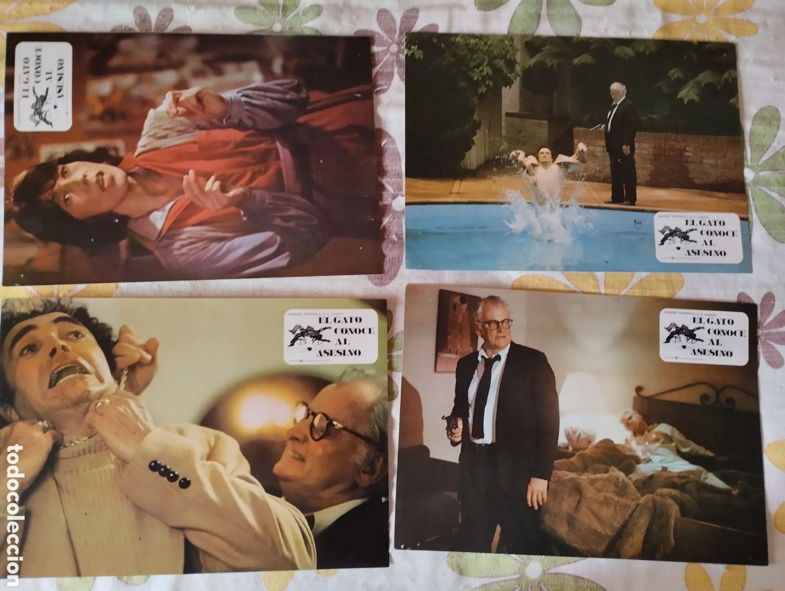 Cine: 12 FOTOCROMOS - EL GATO CONOCE AL ASESINO - SER COMPLETO