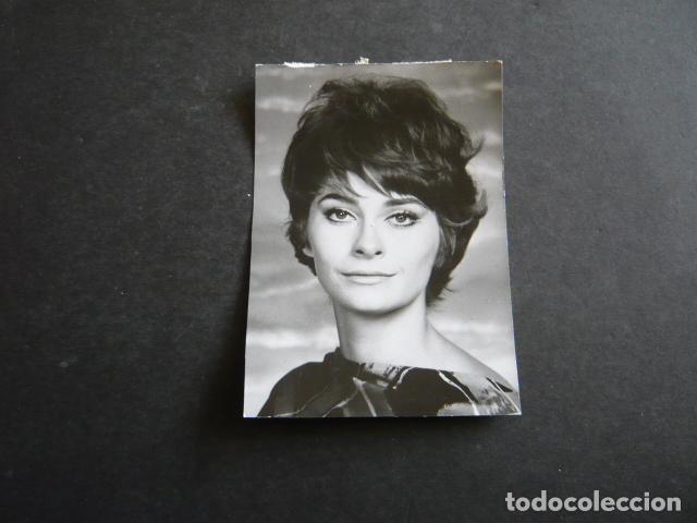 Kino: ELIZABETH ASHLEY ACTRIZ ANTIGUA FOTOGRAFIA ORIGINAL 7,5 X 10,5 CM