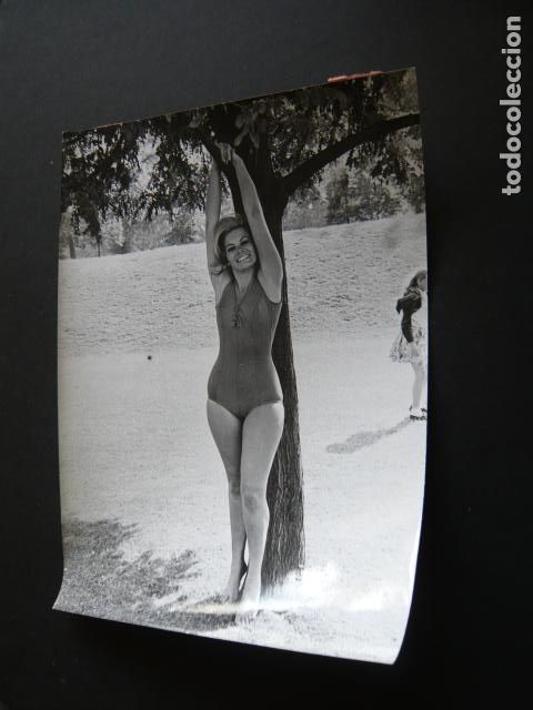 Kino: MOLLY PETERS ACTRIZ ANTIGUA FOTOGRAFIA ORIGINAL 19 X 24 CM