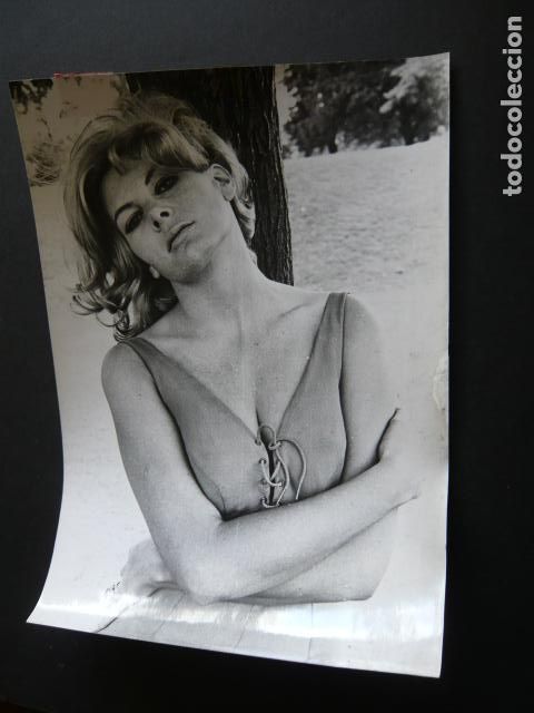 Kino: MOLLY PETERS ACTRIZ ANTIGUA FOTOGRAFIA ORIGINAL 20 X 25 CM