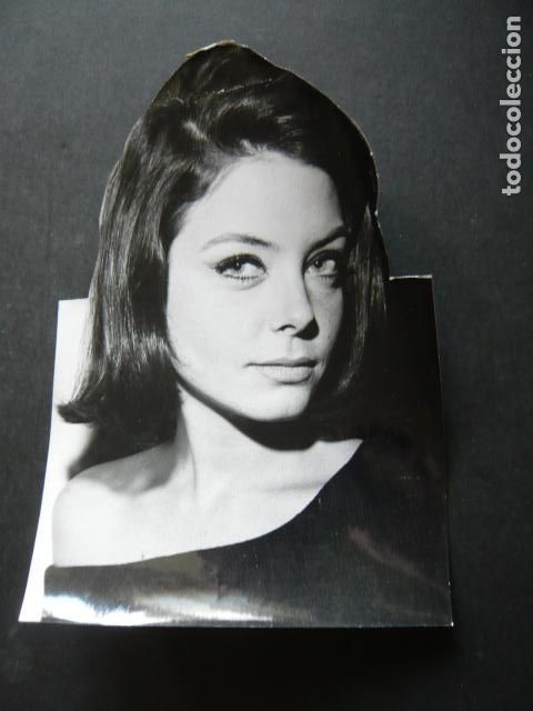 Kino: PATRICIA SHEPARD ACTRIZ ANTIGUA FOTOGRAFIA ORIGINAL 18 X 12 CM