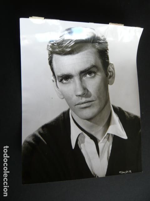 Kino: JOHN FRASER ACTOR ANTIGUA FOTOGRAFIA ORIGINAL 19 X 25 CM