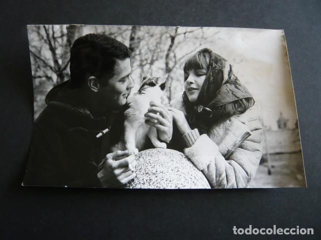 Kino: AGNES SPAAK ACTRIZ CON GATO ANTIGUA FOTOGRAFIA ORIGINAL 12 X 18 CM