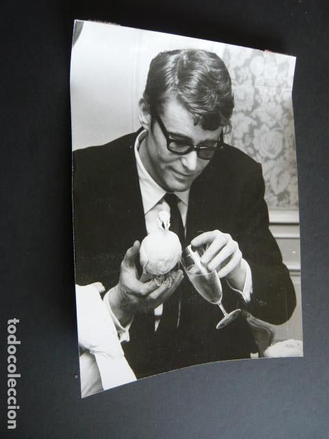Cine: PETER O'TOOLE ACTOR ANTIGUA FOTOGRAFIA ORIGINAL 18 X 24 CM