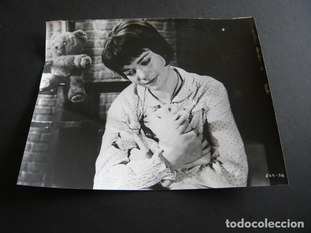 Cine: NATALIE WOOD ACTRIZ ANTIGUA FOTOGRAFIA ORIGINAL 18 X 24 CM