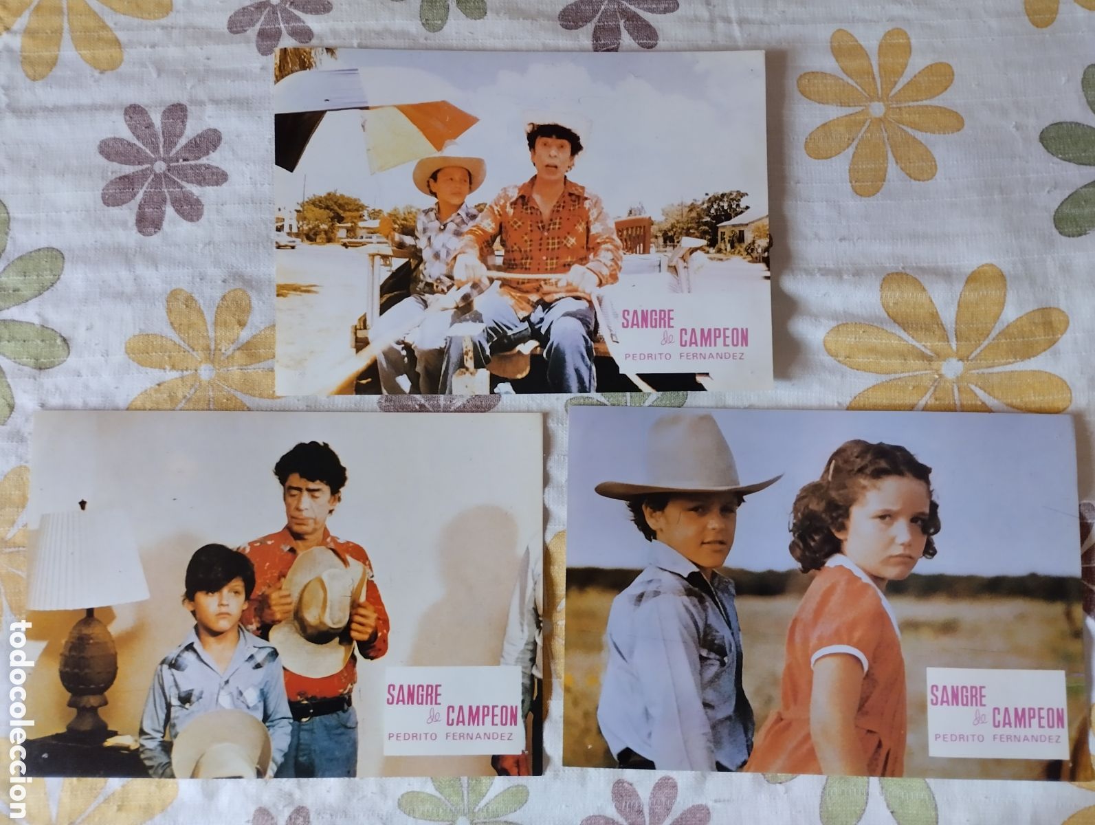 Cine: 11 FOTOCROMOS - SANGRE DE CAMPEON