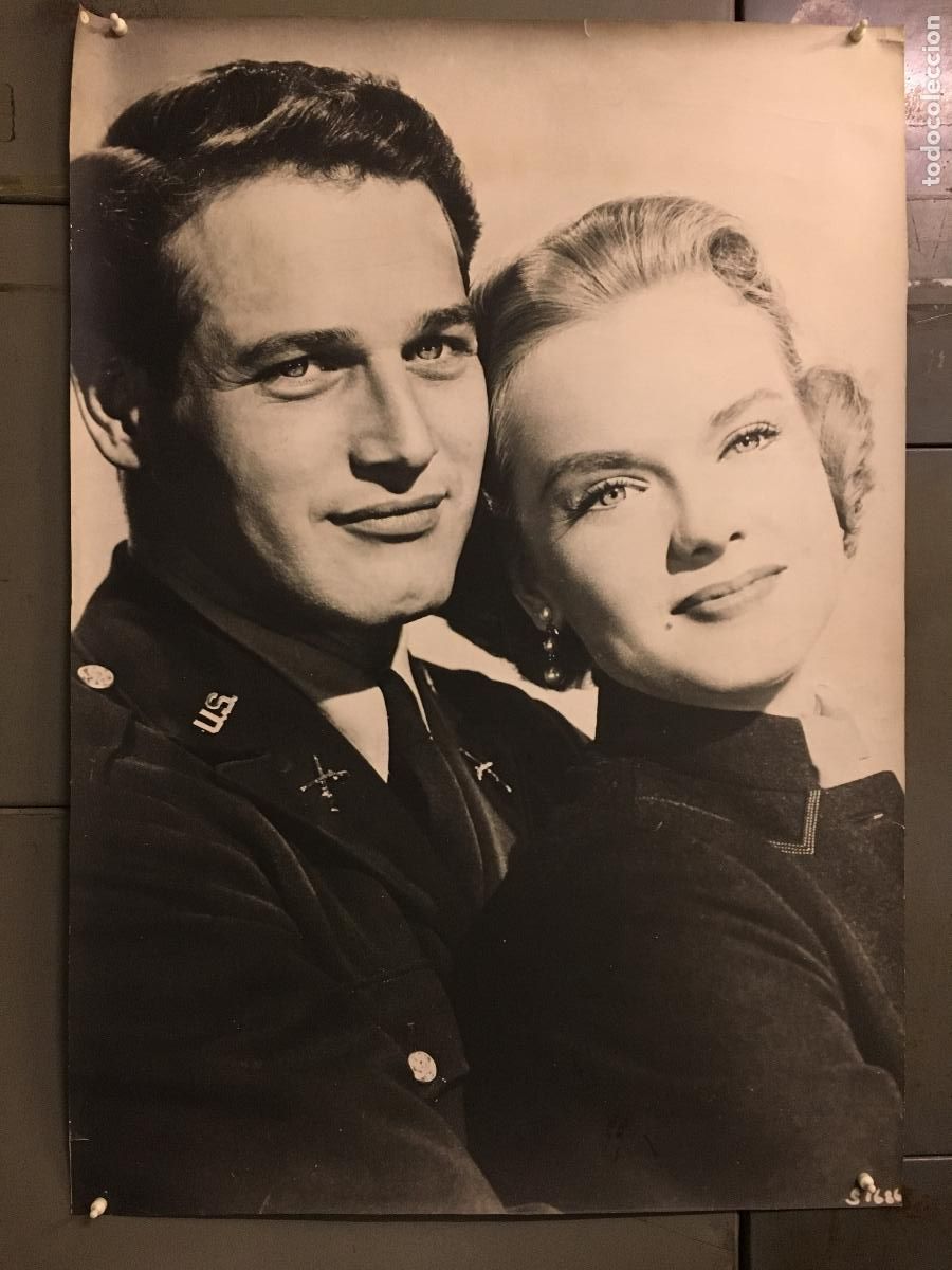 Kino: R0239 PAUL NEWMAN ANNE FRANCIS TRAIDOR A SU PATRIA FOTO B/N ORIGINAL ESPA&Ntilde;OLA 70X100
