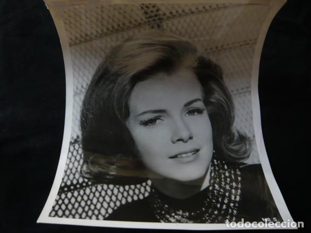 Cin&eacute;ma: LAURINE STEVENS ACTRIZ ANTIGUA FOTOGRAFIA ORIGINAL 20 X 25 CM