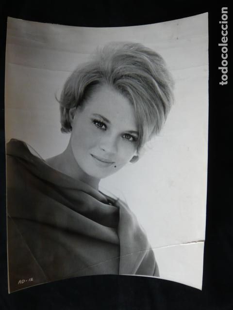 Cinema: ANGIE DICKINSON ACTRIZ ANTIGUA FOTOGRAFIA ORIGINAL 18 X 24 CM