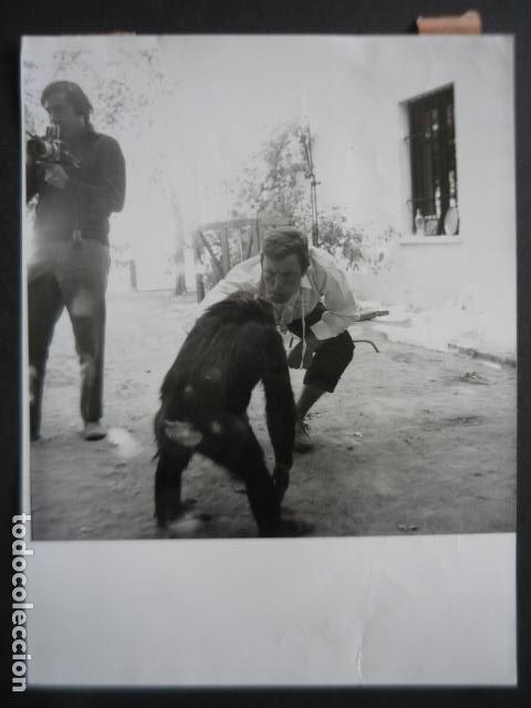 Cine: ALBERT FINNEY ACTOR PELICULA BUSCANDO A PICASSO ANTIGUA FOTOGRAFIA ORIGINAL 18 X 24 CM