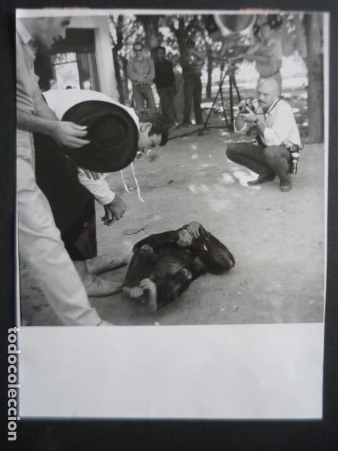 Cine: ALBERT FINNEY ACTOR EN MADRID PELICULA BUSCANDO A PICASSO ANTIGUA FOTOGRAFIA ORIGINAL 18 X 24 CM